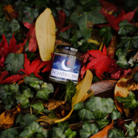 Nutmeg & Ginger hand poured soy wax candle