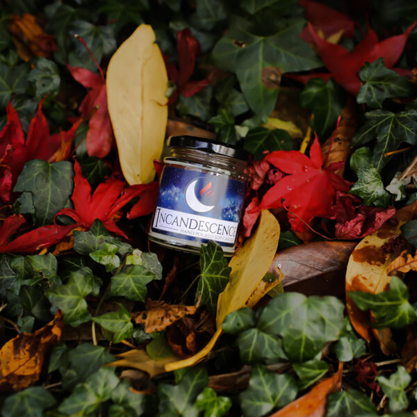 Nutmeg & Ginger hand poured soy wax candle