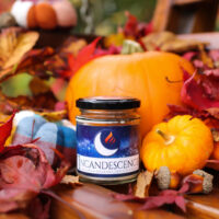 Pumpkin & Chestnut Soy Wax Candle