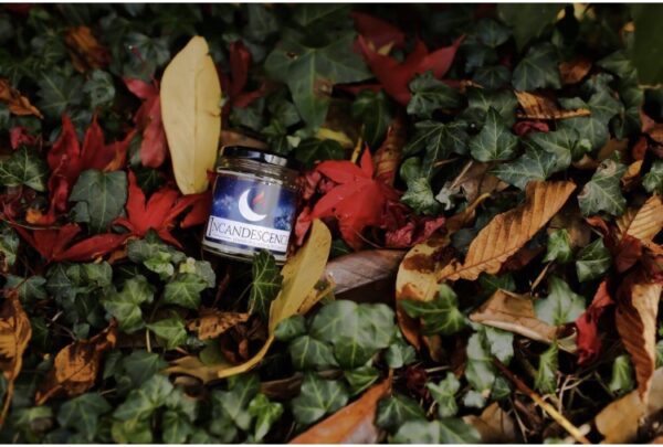 Nutmeg & Ginger hand poured soy wax candle