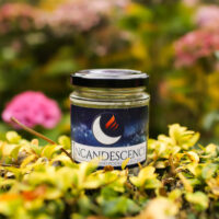 Spiced apple hand poured soy wax candle