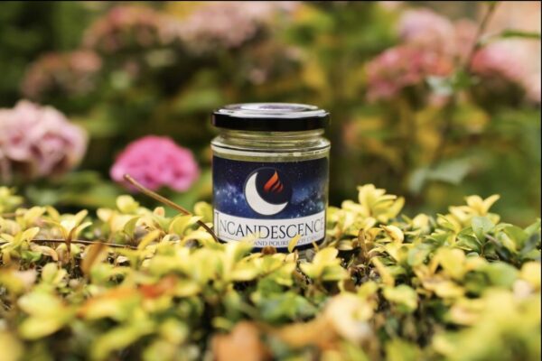 Spiced Apple hand poured soy wax candle